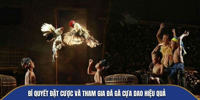 Bí quyết đặt cược và tham gia đá gà cựa dao hiệu quả