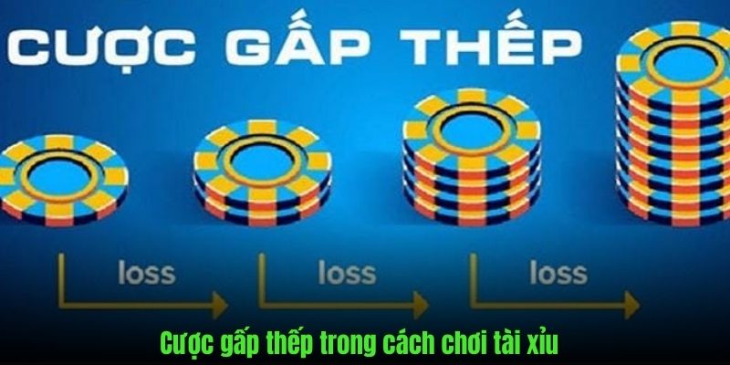 Áp dụng cược gấp thếp trong tài xỉu