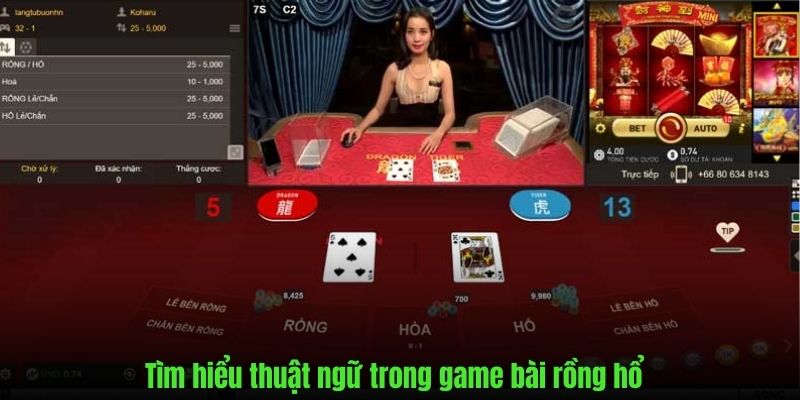 Những thuật ngữ dùng nhiều trong siêu phẩm